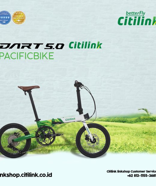 Citilink bicycle post 2