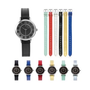 Temptation Ladies Watch + 5 Straps