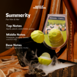 WORLD OF MAKE SCENTS Solid Perfume Hampers (Summerity + Yellow)
